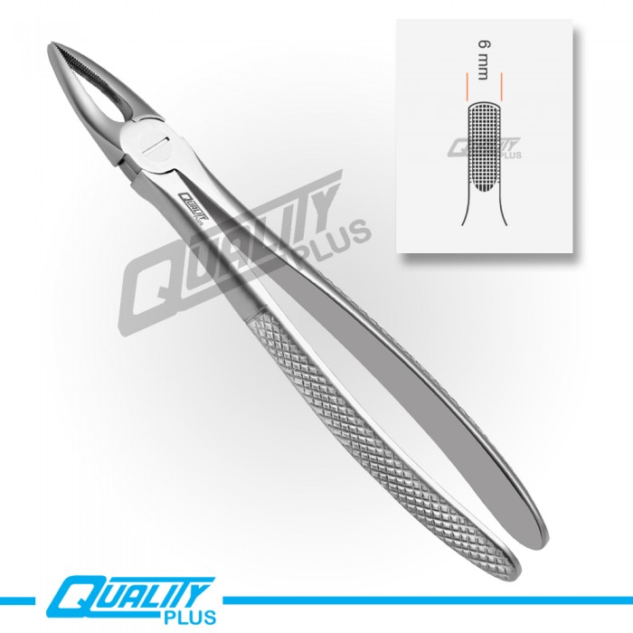 Fig: 1 Extraction Forceps English Pattern Serration
