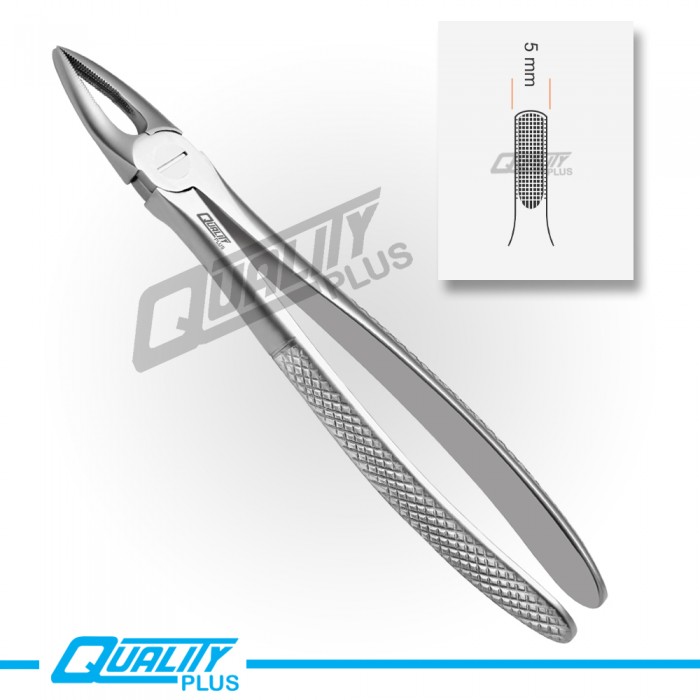 Fig: 2 Extraction Forceps English Pattern Serration