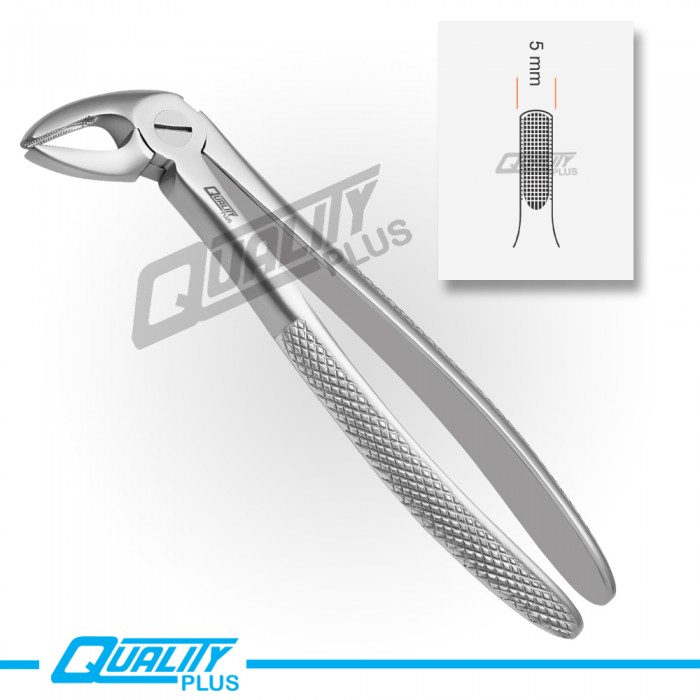 Fig: 4 Extraction Forceps English Pattern Serration