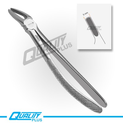 Fig: 7 Extraction Forceps English Pattern