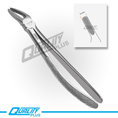 Fig: 7 Extraction Forceps English Pattern Serration