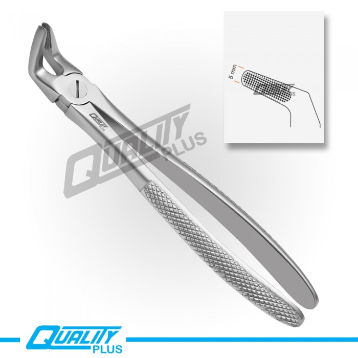 Fig: 8 Extraction Forceps English Pattern Serration