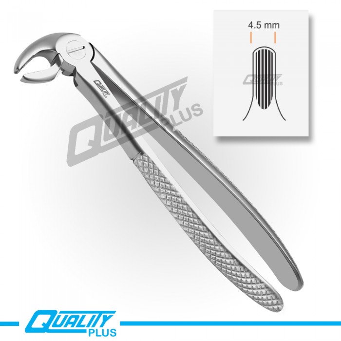 Fig: 13 Extraction Forceps English Pattern Serration