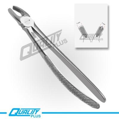 Fig: 18 Extraction Forceps English Pattern Serration
