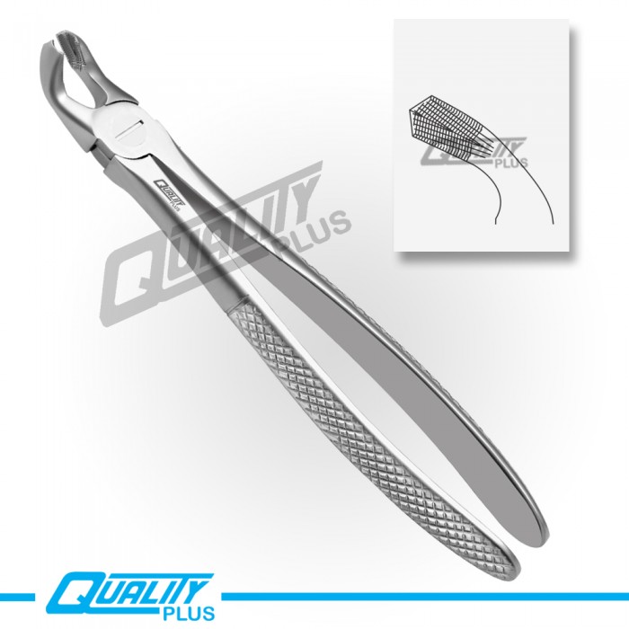 Fig: 21 Extraction Forceps English Pattern
