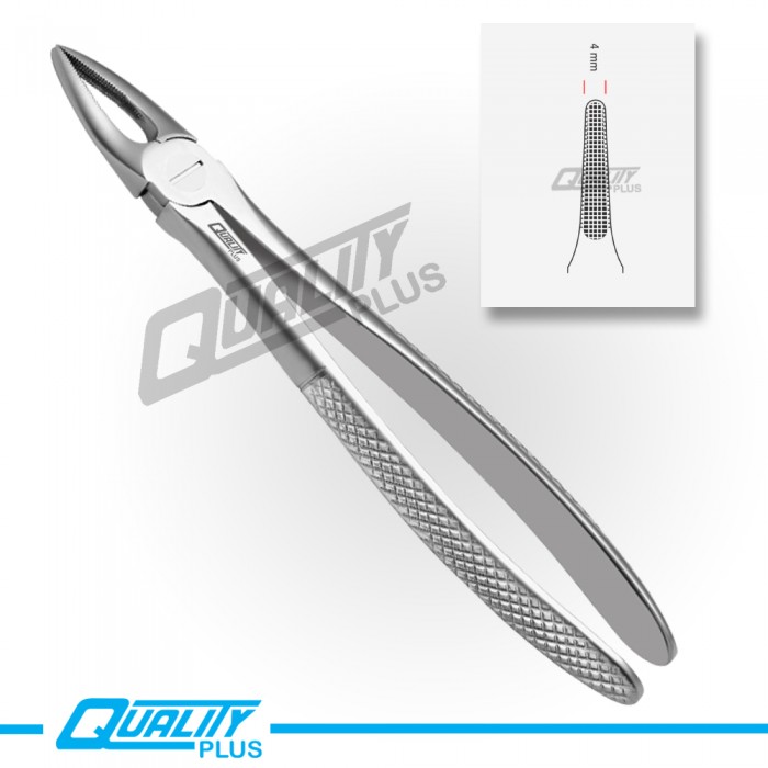 Fig: 29 Extraction Forceps English Pattern Serration