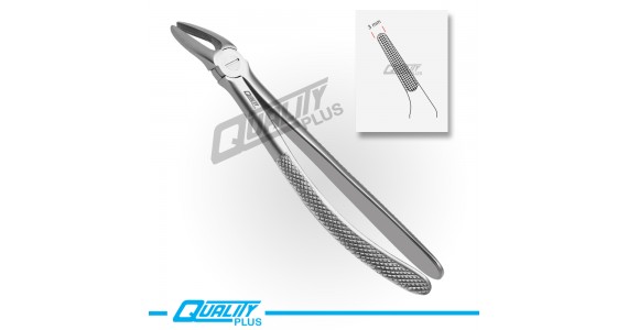 Fig: 30 Extraction Forceps English Pattern Serration