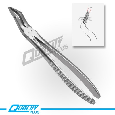 Fig: 51 Extraction Forceps English Pattern Serration