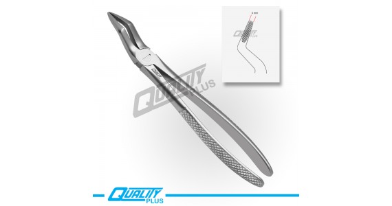 Fig: 51 Extraction Forceps English Pattern Serration