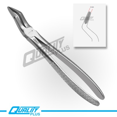 Fig: 51A Extraction Forceps English Pattern Serration