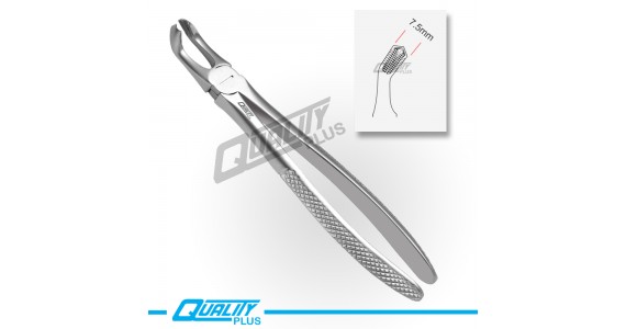 Fig: 79 Extraction Forceps English Pattern Serration