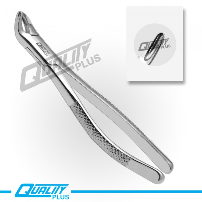 Fig: 151 Extraction Forceps American Pattern