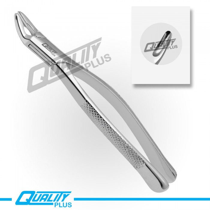 Fig: 150S Extraction Forceps American Pattern